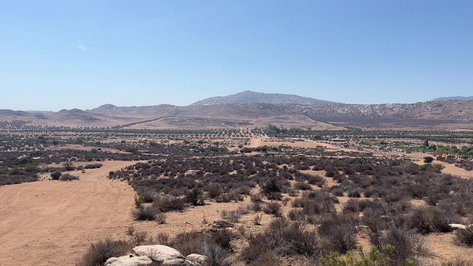 Valle con hileras de olivos y la sierra al fondo